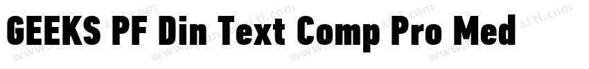 GEEKS PF Din Text Comp Pro Medium字体转换
